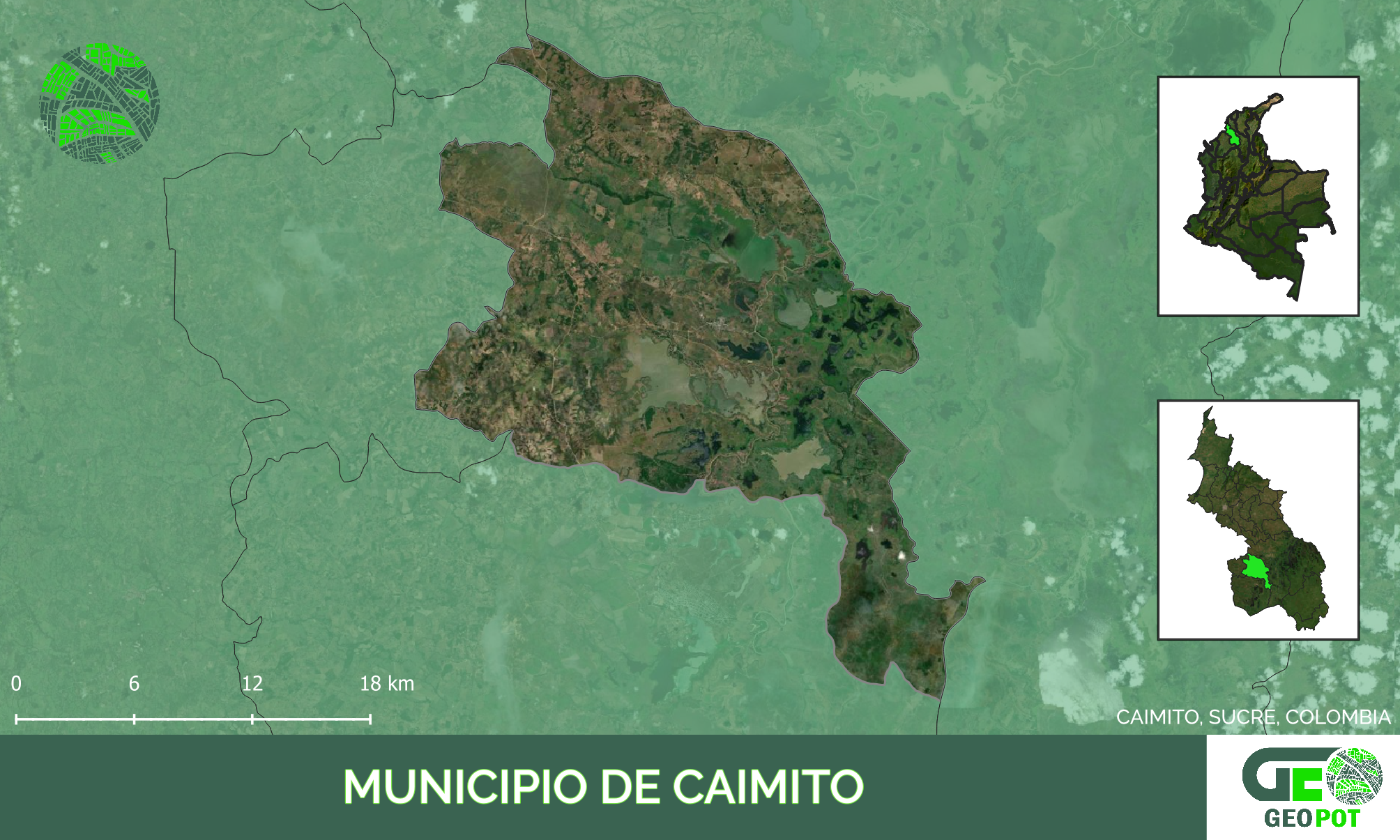 Caimito