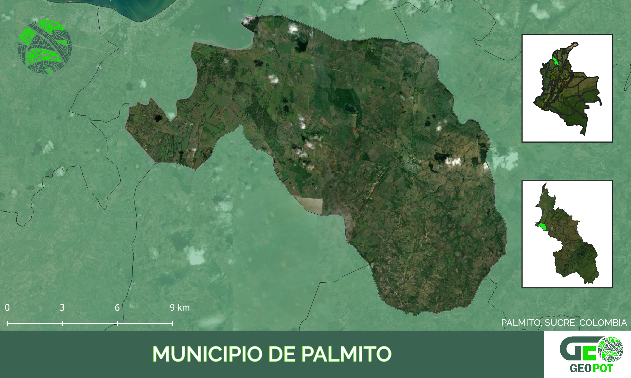 Palmito